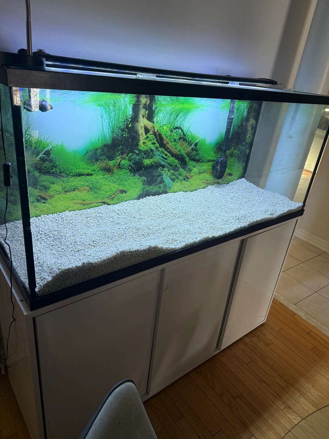 120 gallon fish tank Fluval FX4 Canister Filter