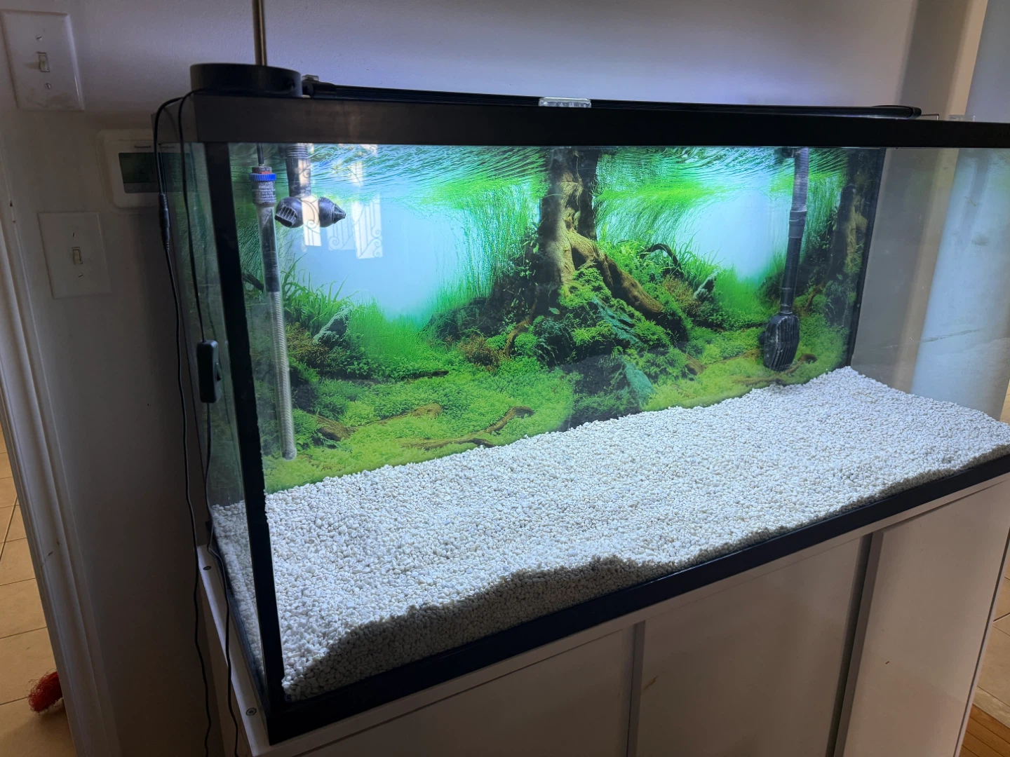 120 gallon fish tank Fluval FX4 Canister Filter - photo 2