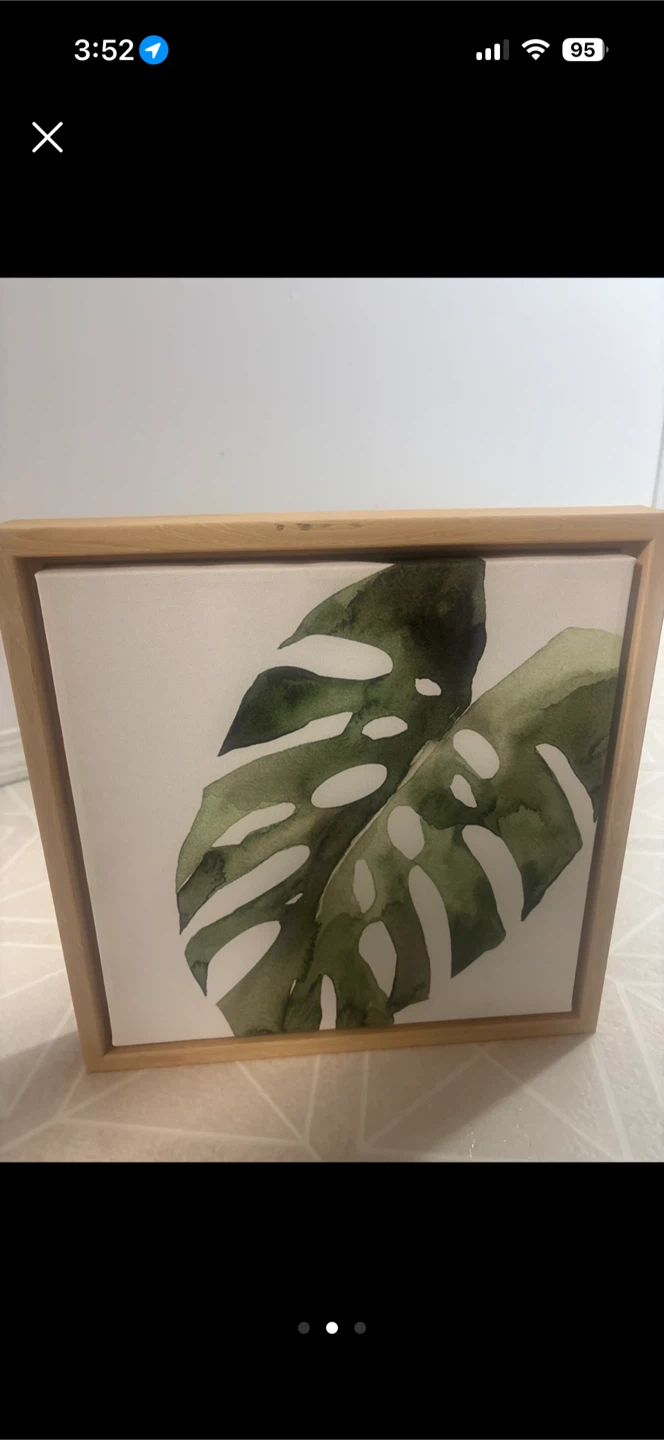 DesignOvation Sylvania Monstera Tropical Framed Canvas Art - photo 2