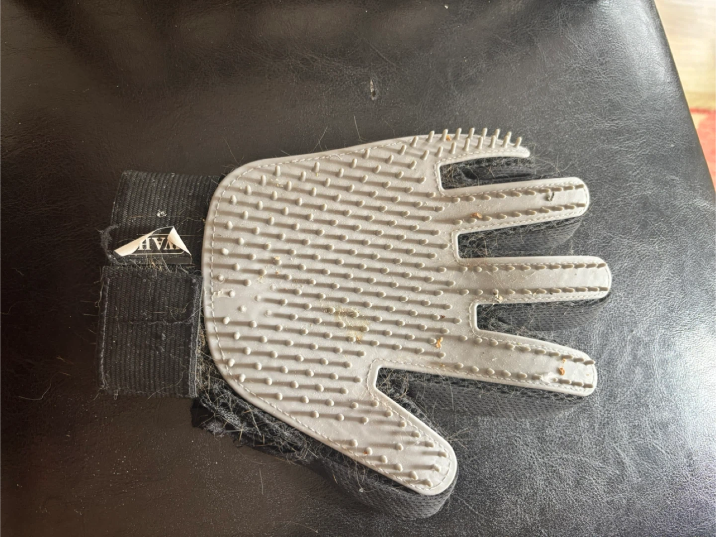 Pet Grooming Glove