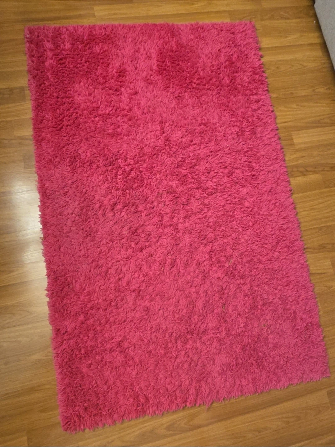 Shaggy Area Rug - Bright Pink