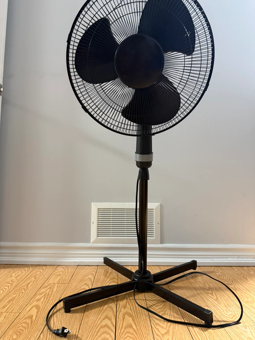 Fan