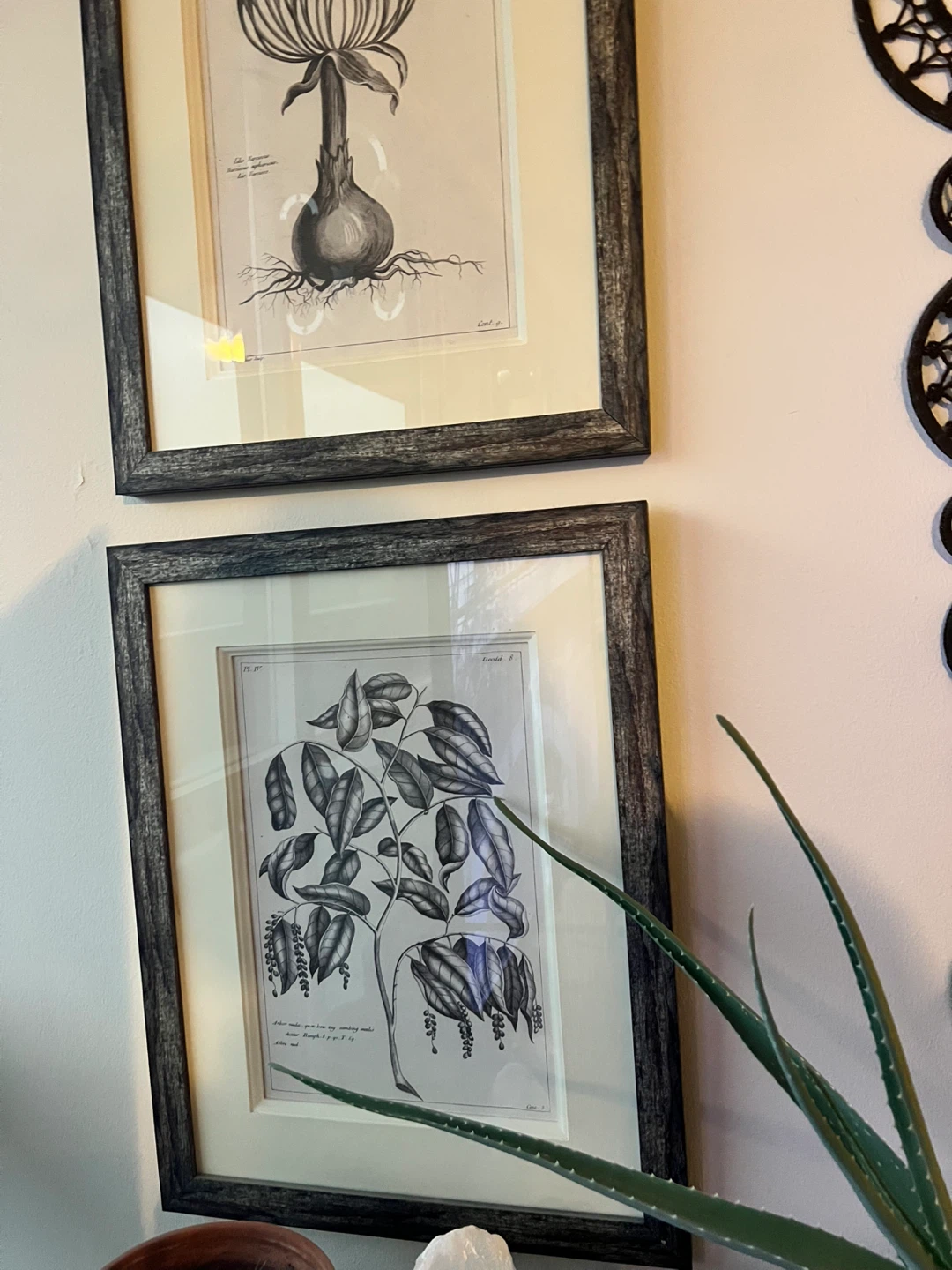 Set of 3 Framed Botanical Prints - photo 3