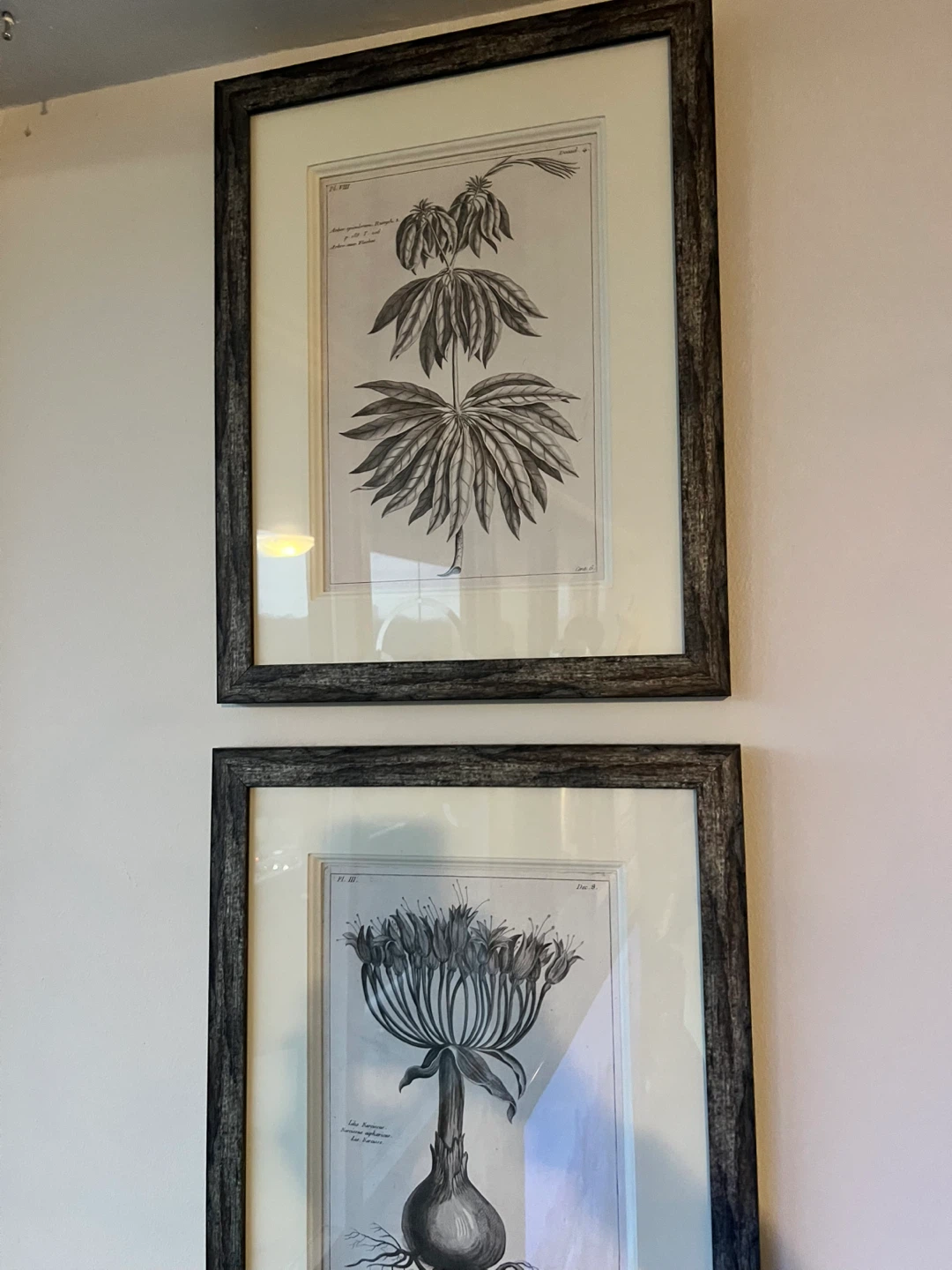 Set of 3 Framed Botanical Prints - photo 2