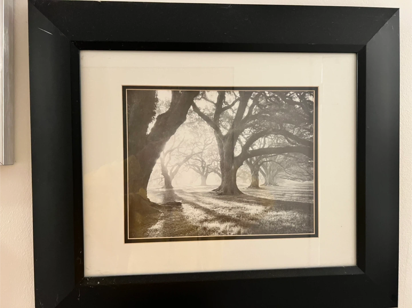 Set of 5 Framed Black and White Landscape Prints - photo 4