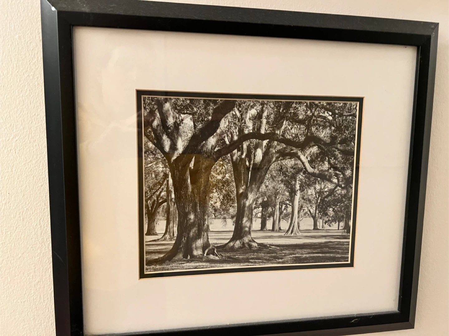Set of 5 Framed Black and White Landscape Prints - photo 5