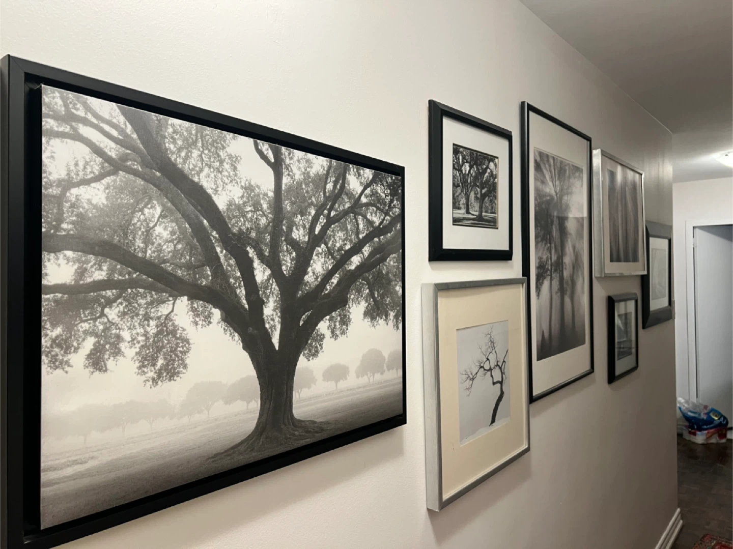 Set of 5 Framed Black and White Landscape Prints - photo 2