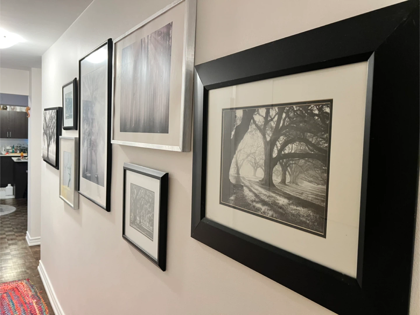 Set of 5 Framed Black and White Landscape Prints
