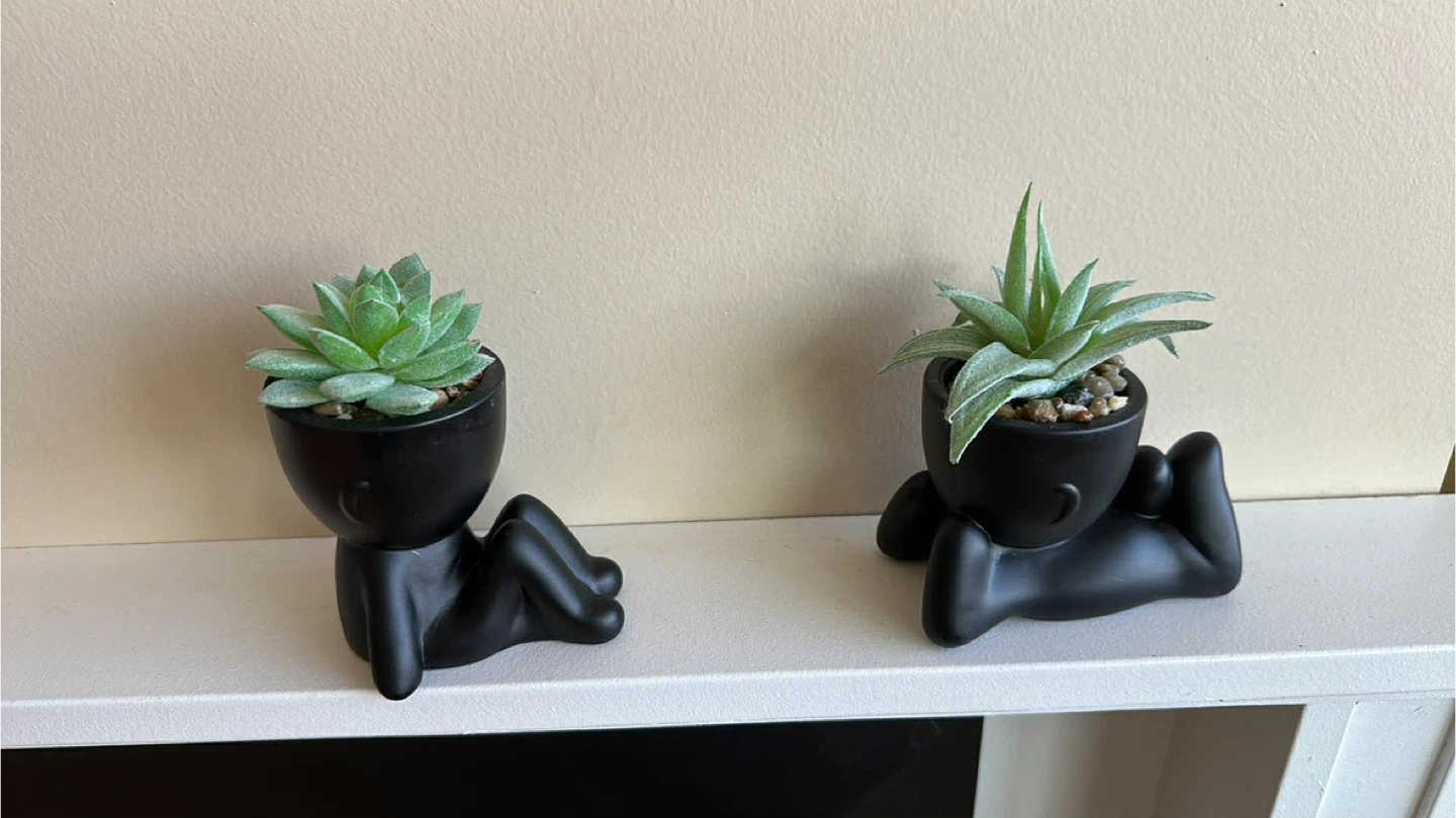 Set of 2 Decorative Faux Plants