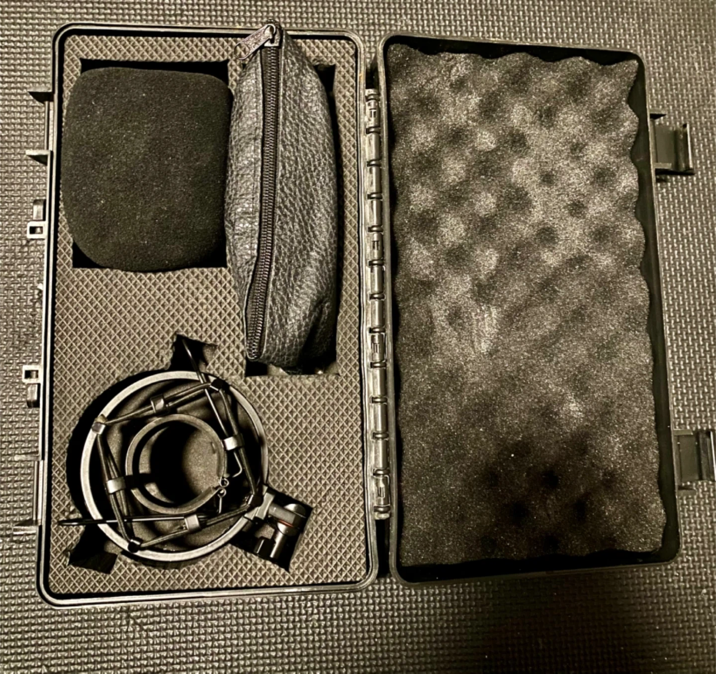 Microphone with Case