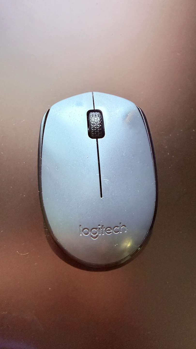 Logitech M170 Wireless Mouse – Reliable & Comfortable - photo 2