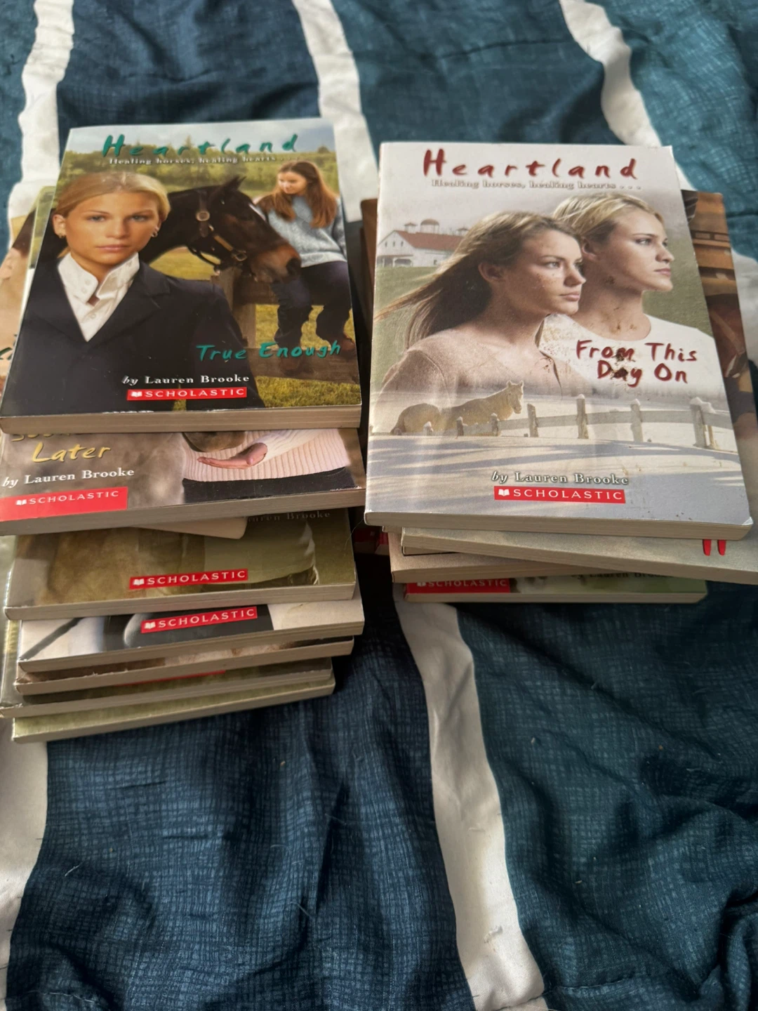 Heartland Book Series by Lauren Brooke