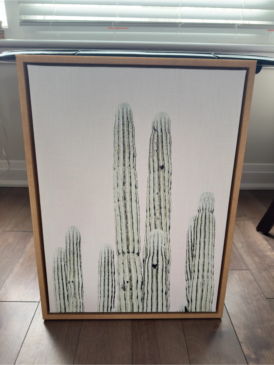 Framed Canvas Art - Saguaro Cactus