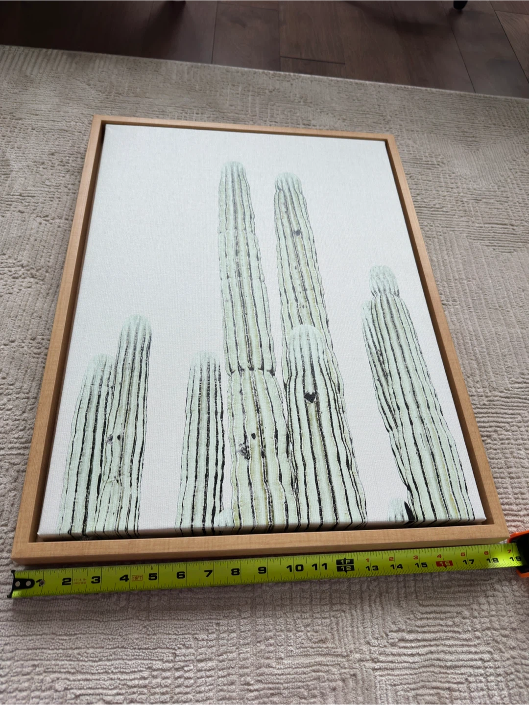 Framed Canvas Art - Saguaro Cactus - photo 3