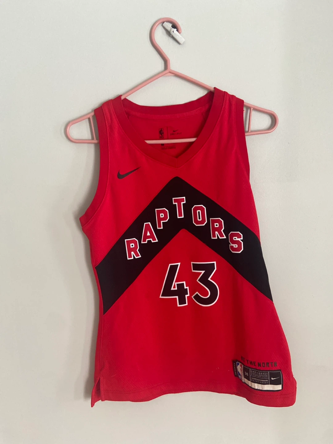 Toronto Raptors Pascal Siakam #43 Jersey