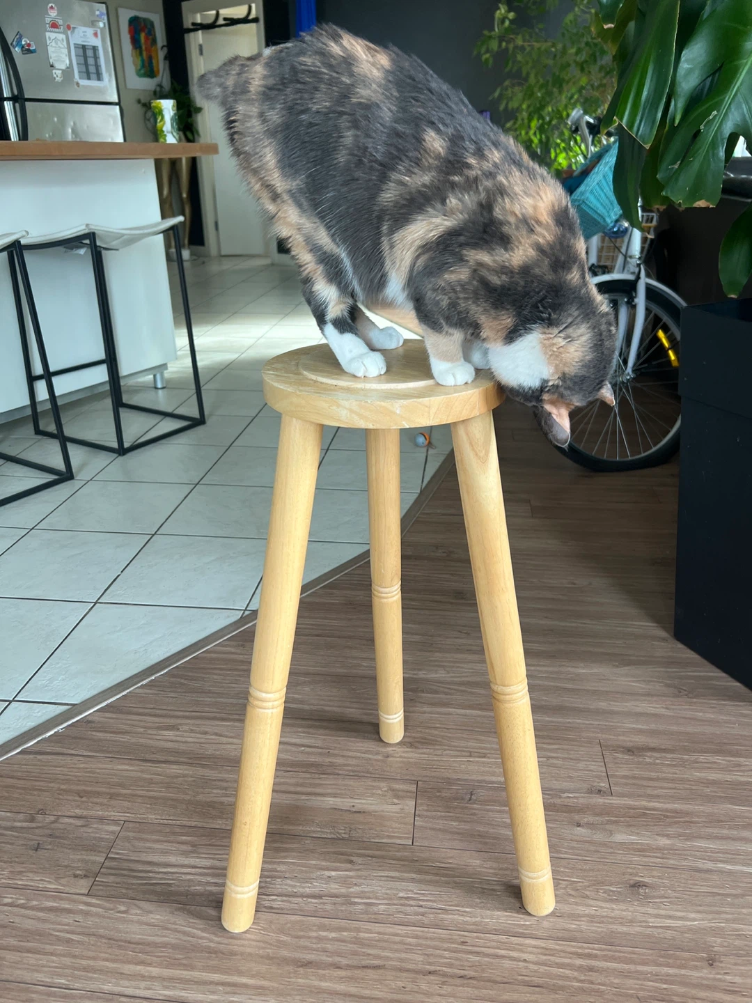 Wooden plant stand - photo 2