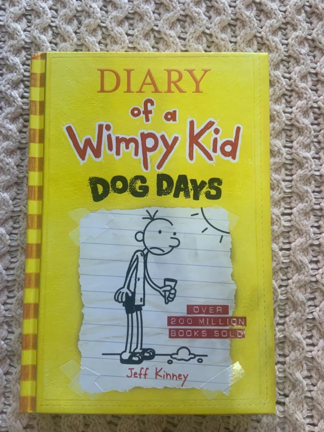 2 Brand New Dairy of a Wimpy kid books ! - photo 5