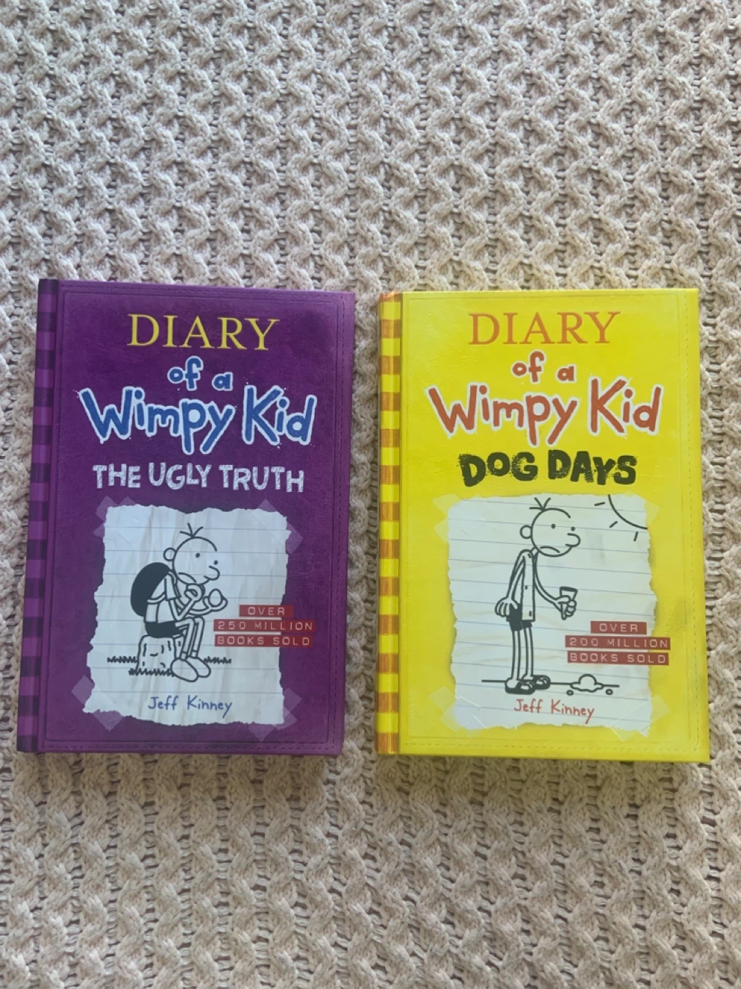 2 Brand New Dairy of a Wimpy kid books !