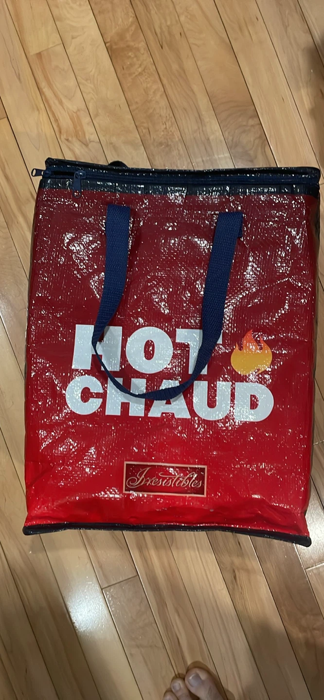 Insulated Delivery Bag x 2