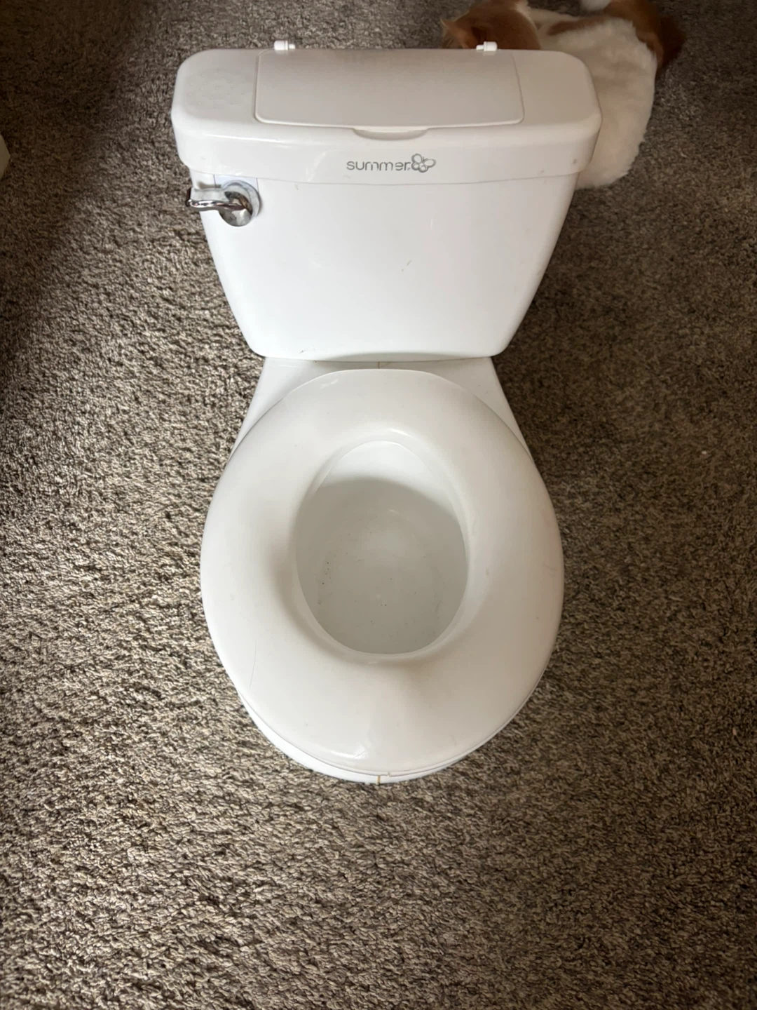 “My Potty” with Real Flushing Sounds