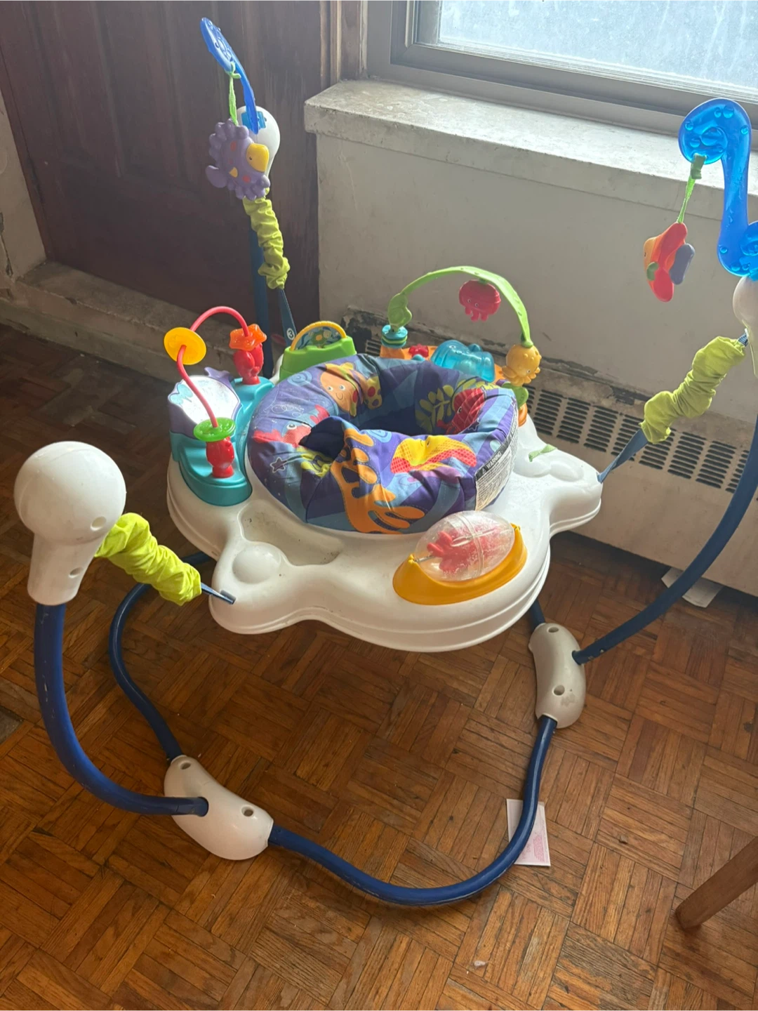 Fisher-Price Jumperoo