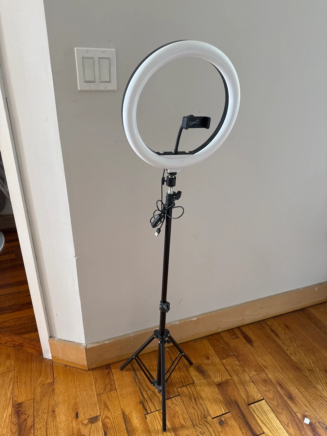 13-inch LED Ring Light with Adjustable Stand