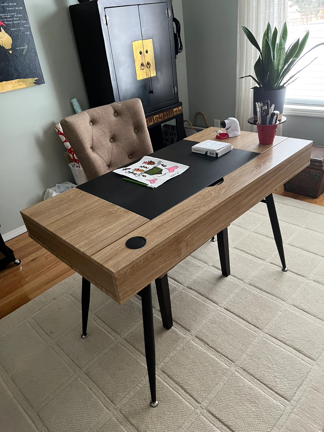 Modern Wood Desk with Hidden Storage