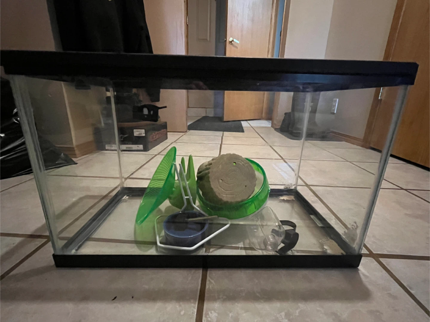 Animal Cage with Accessories