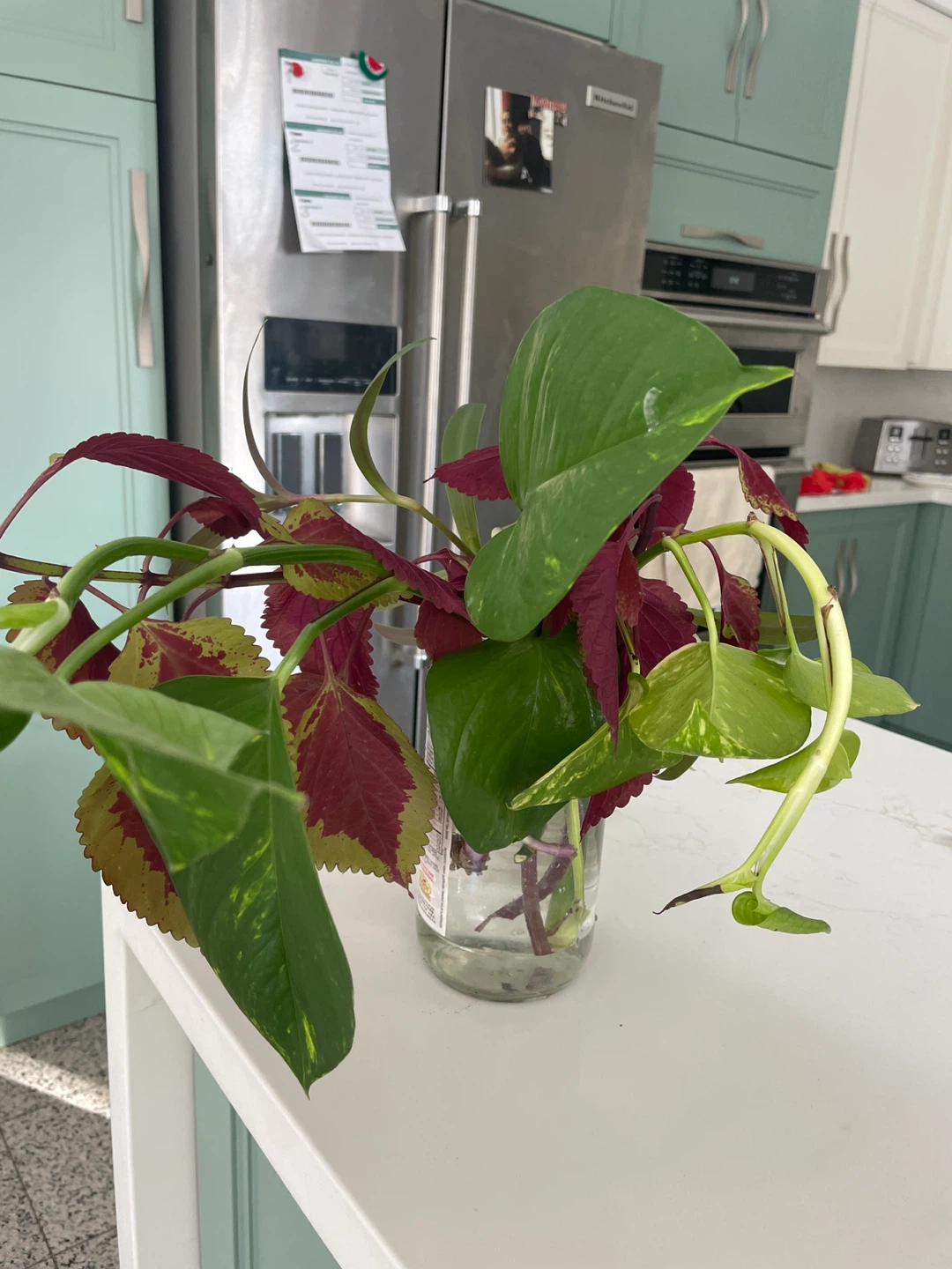 Assorted Plant Cuttings in Glass Jar - photo 2