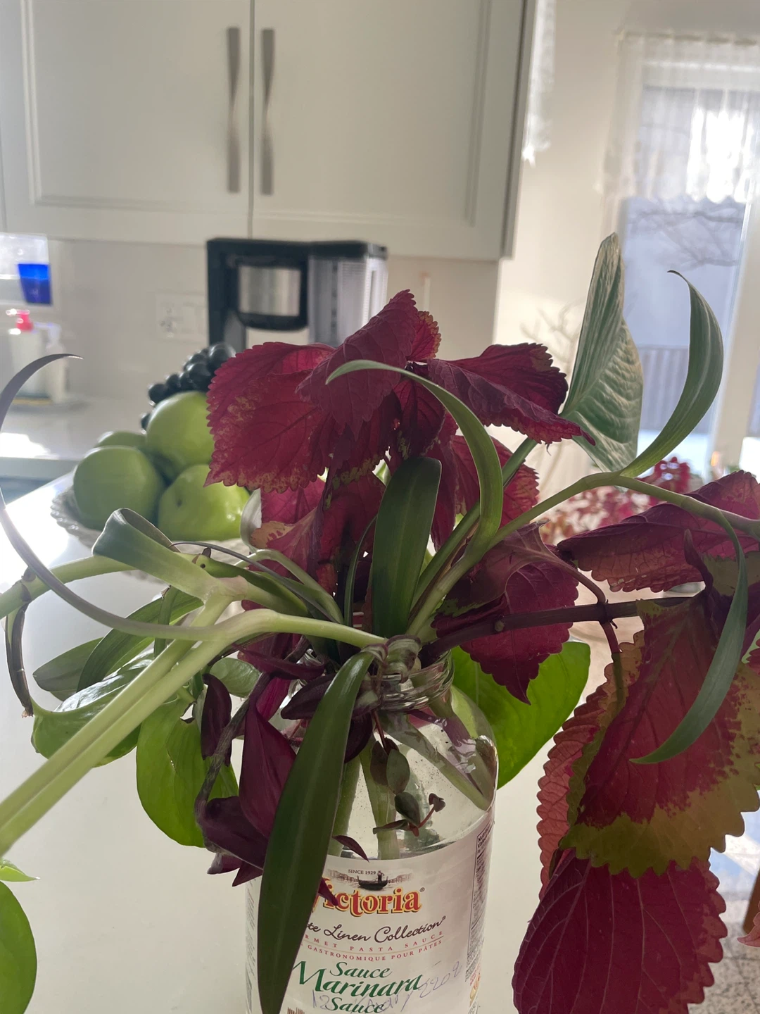 Assorted Plant Cuttings in Glass Jar