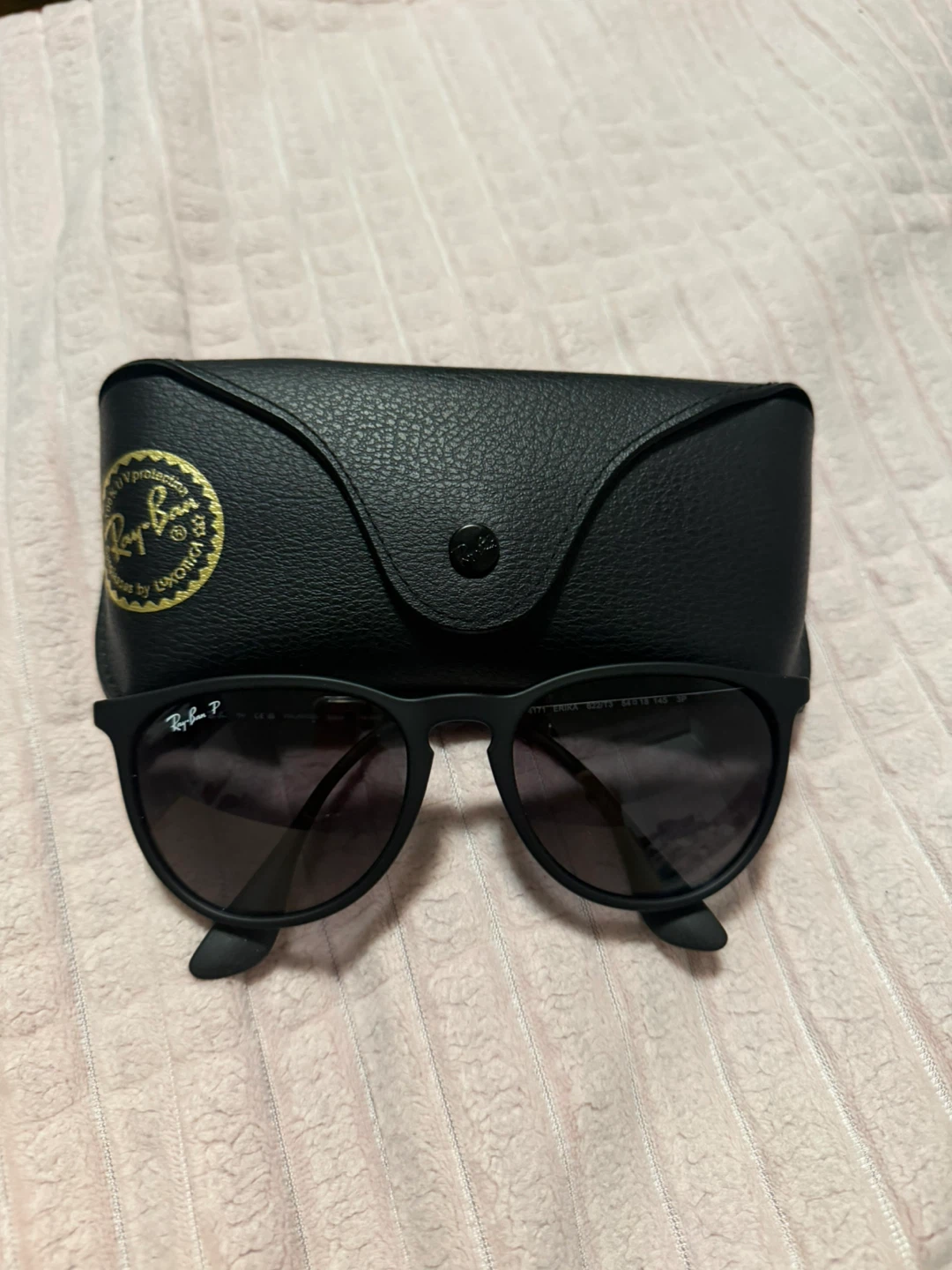 Ray-Ban Erika Sunglasses with Case