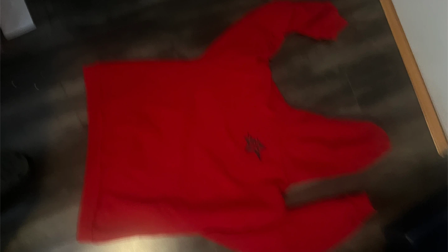 Sp5der P*NK V2 Hoodie - photo 4