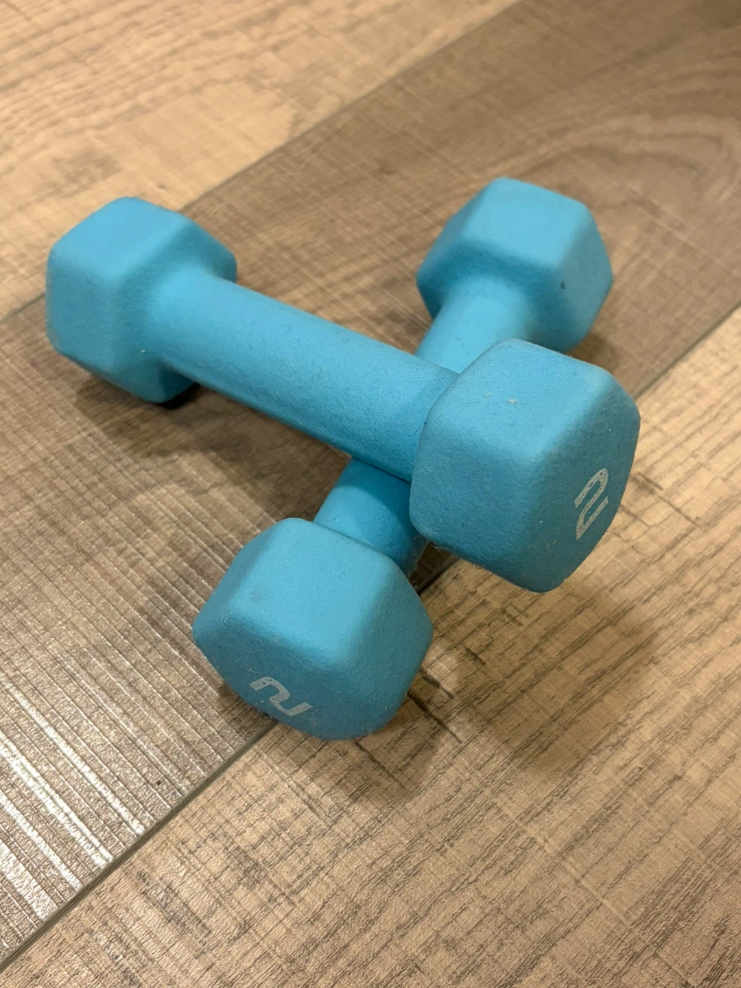 2lb dumbbell weights
