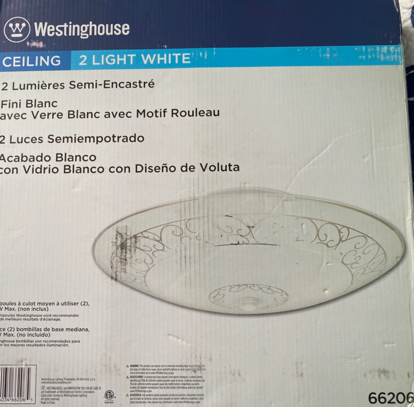 Ceiling fixture