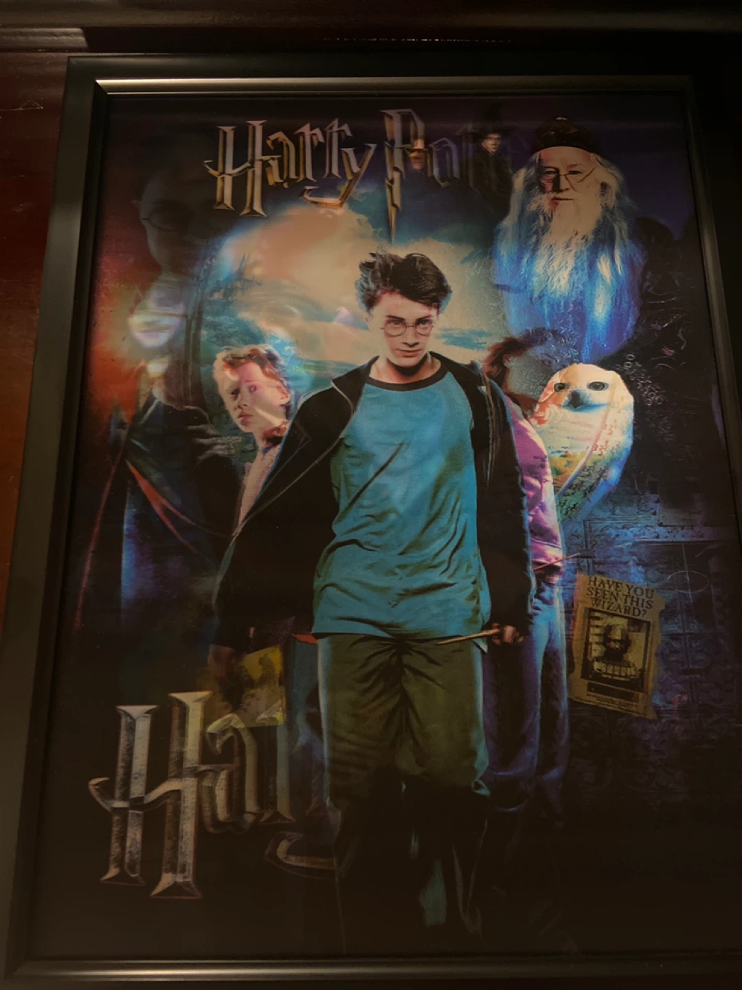 Harry Potter Framed Poster (Lenticular)