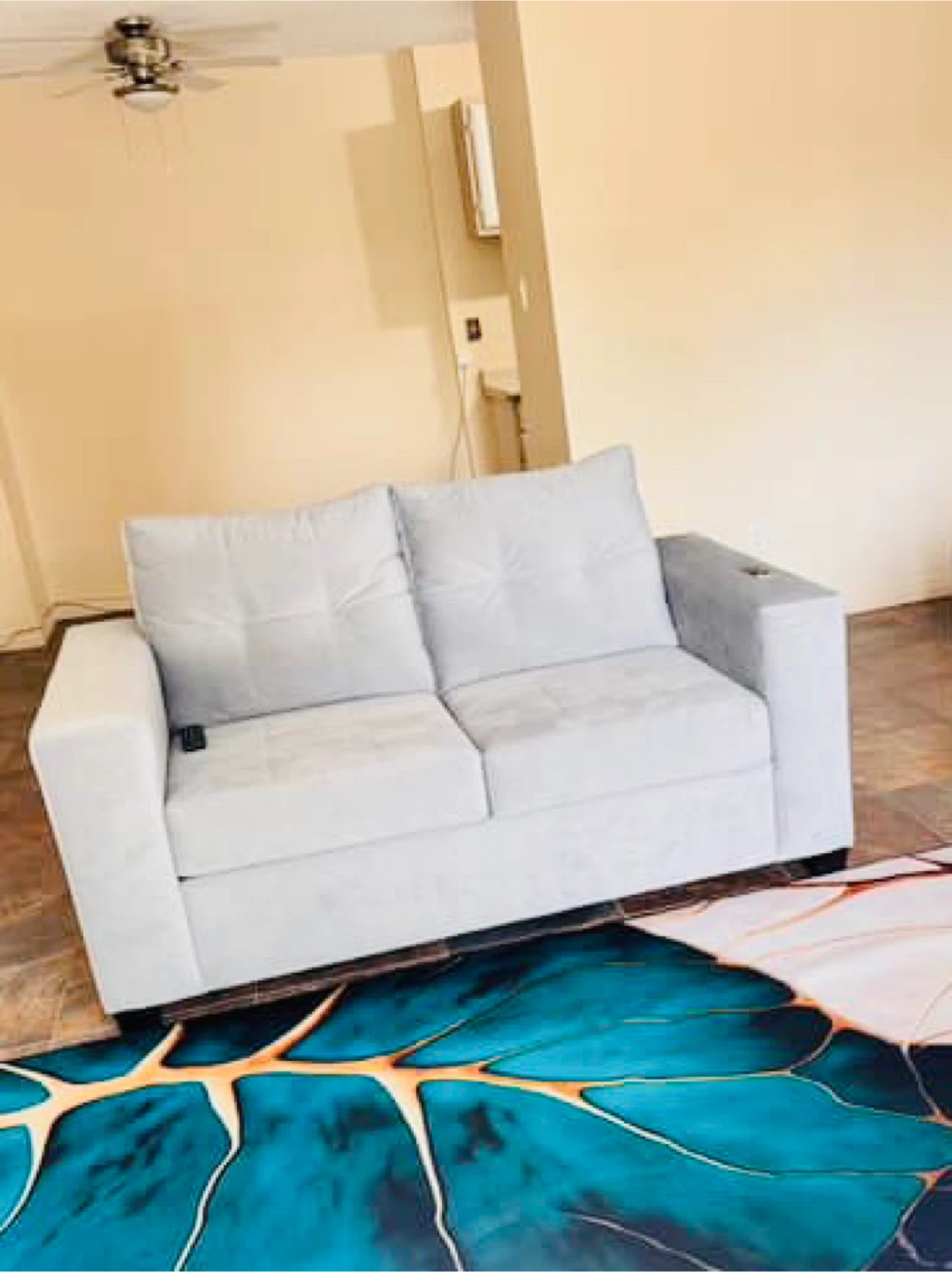 Light Grey Loveseat Sofa