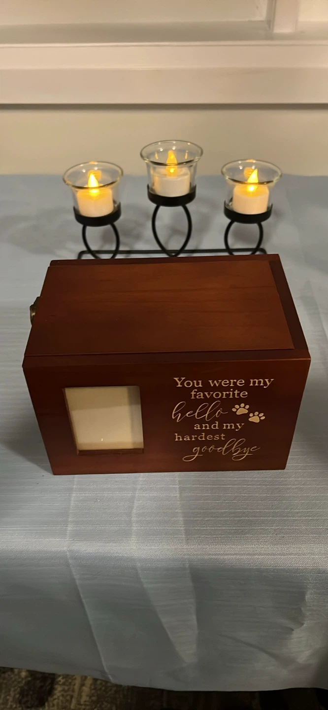 Pet Urn