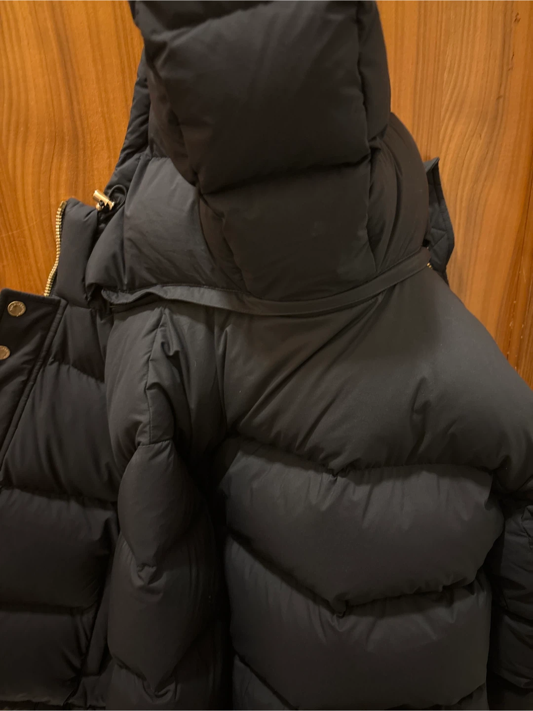 Aritzia The Super Puff Winter Jacket shorty with gold accents