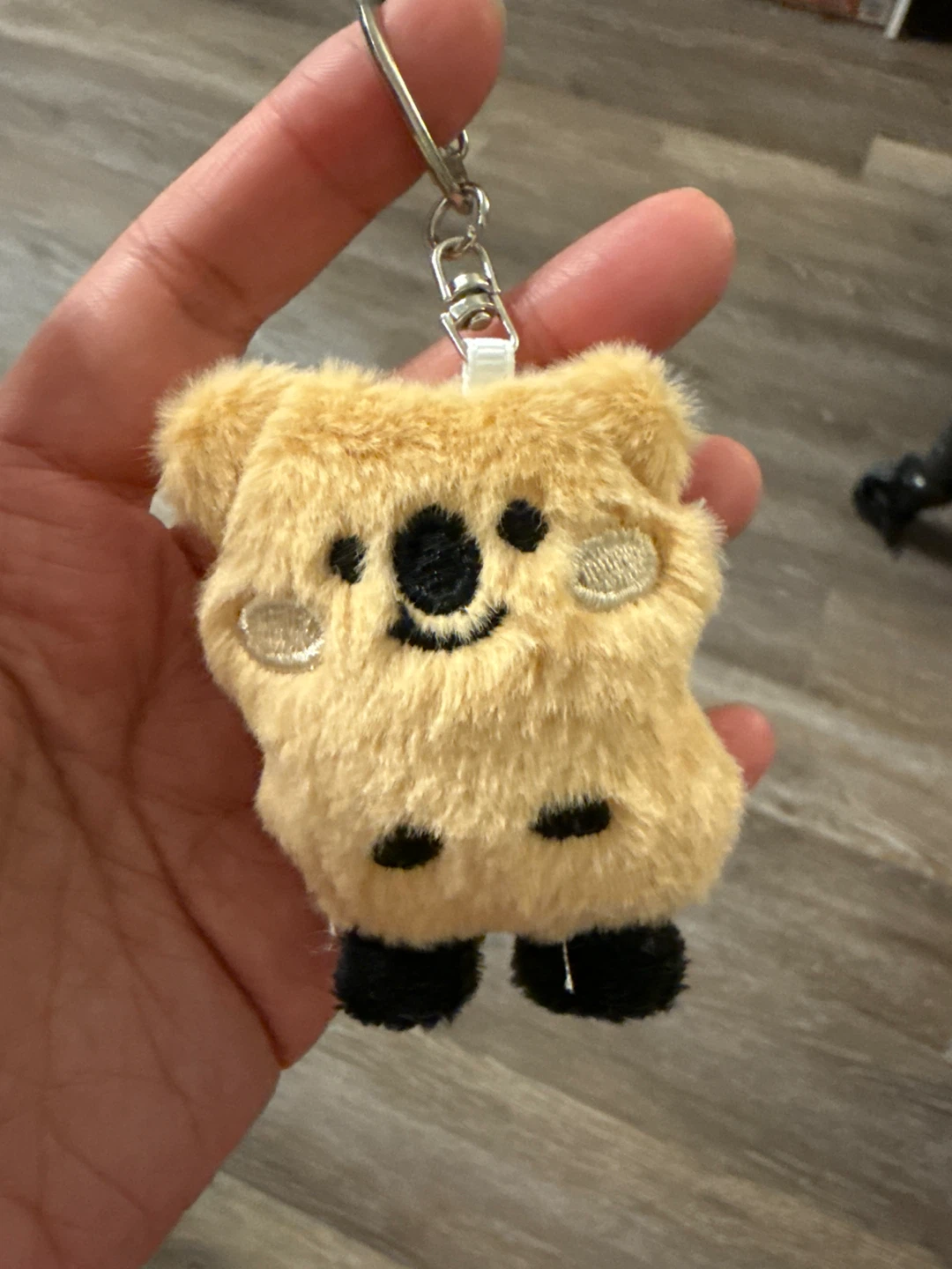 Plush Koala Keychain Bundle