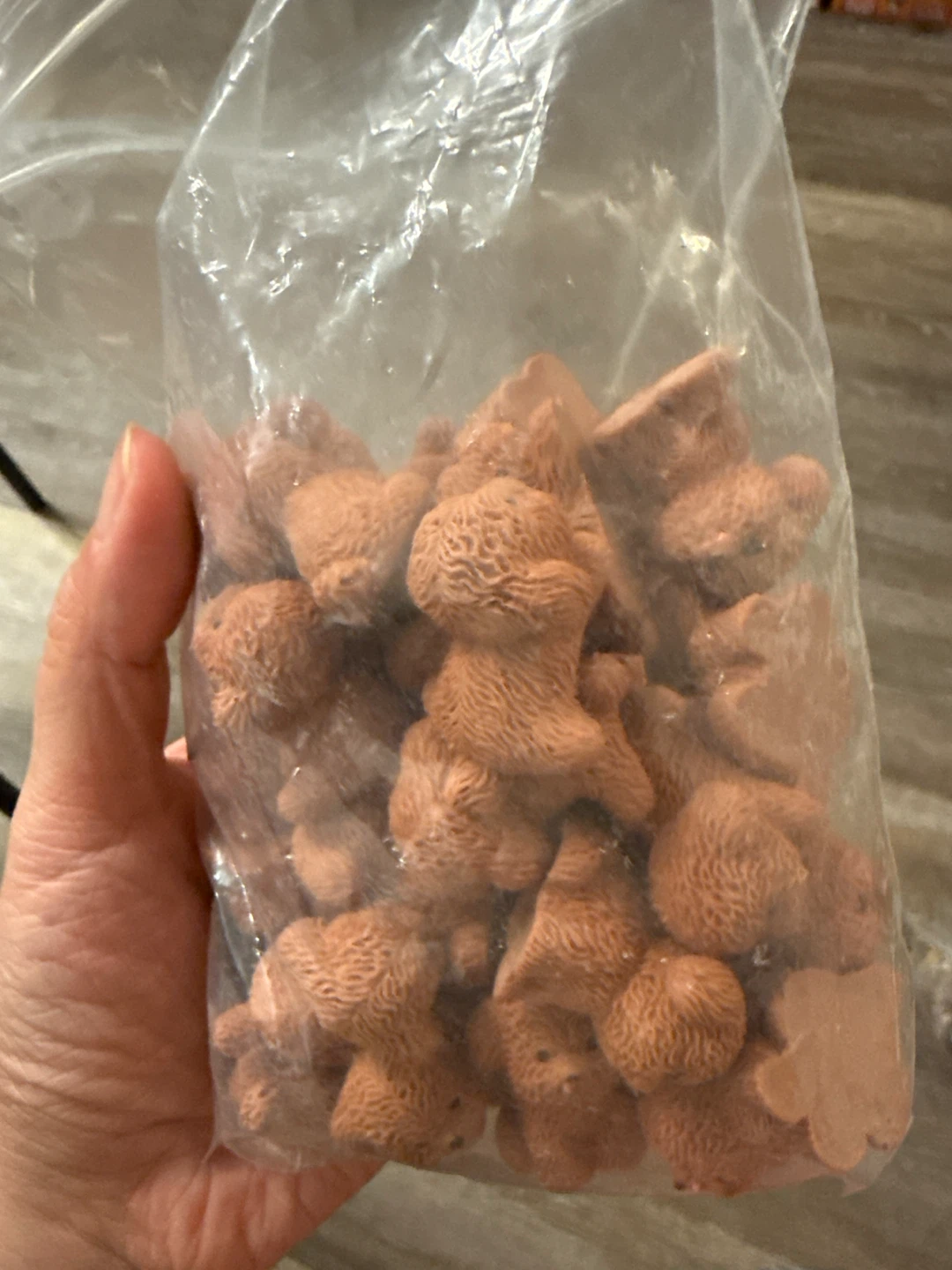 Lot of Toy Poodle Dog Charms - photo 3