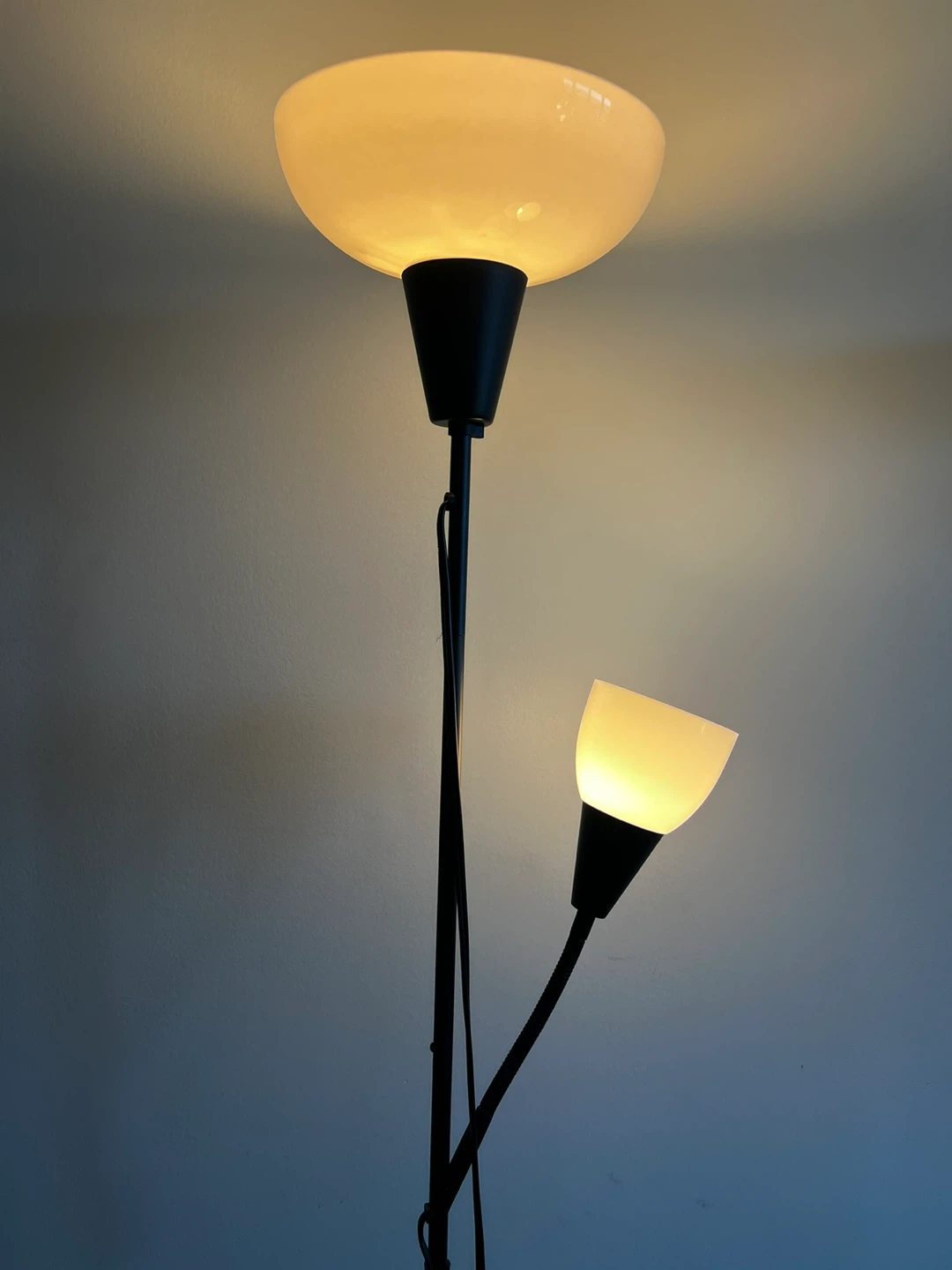 Floor Lamp with Reading Light Ikea
