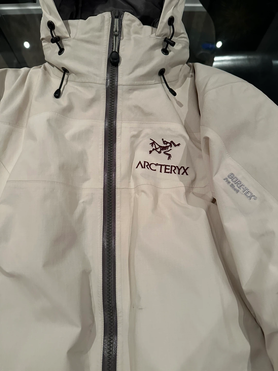 Arc'teryx Gore-Tex