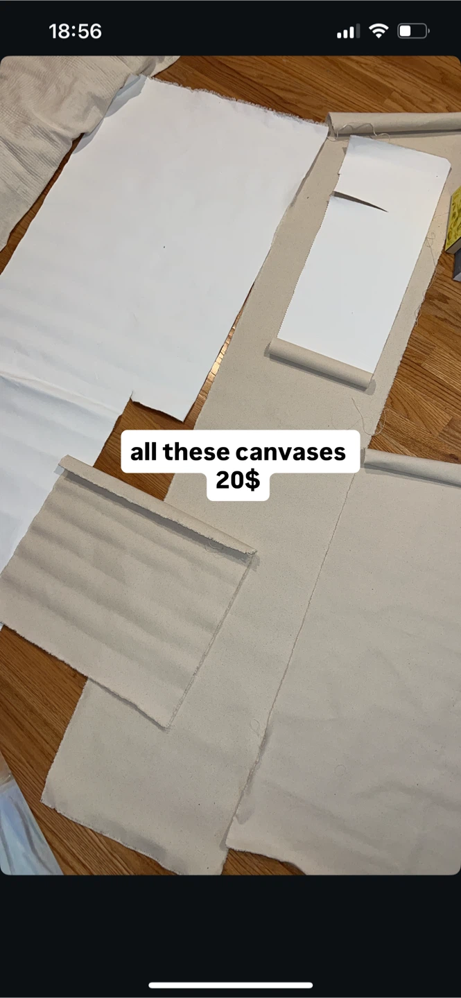 Lot of Canvases