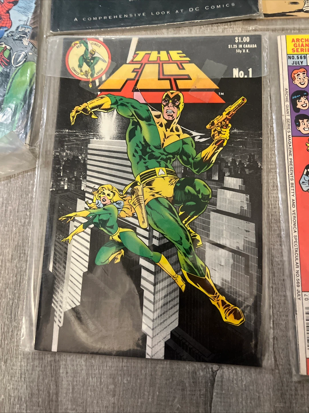Assorted Comic Books: Spider-Man, Betty & Veronica, The Fly - photo 4