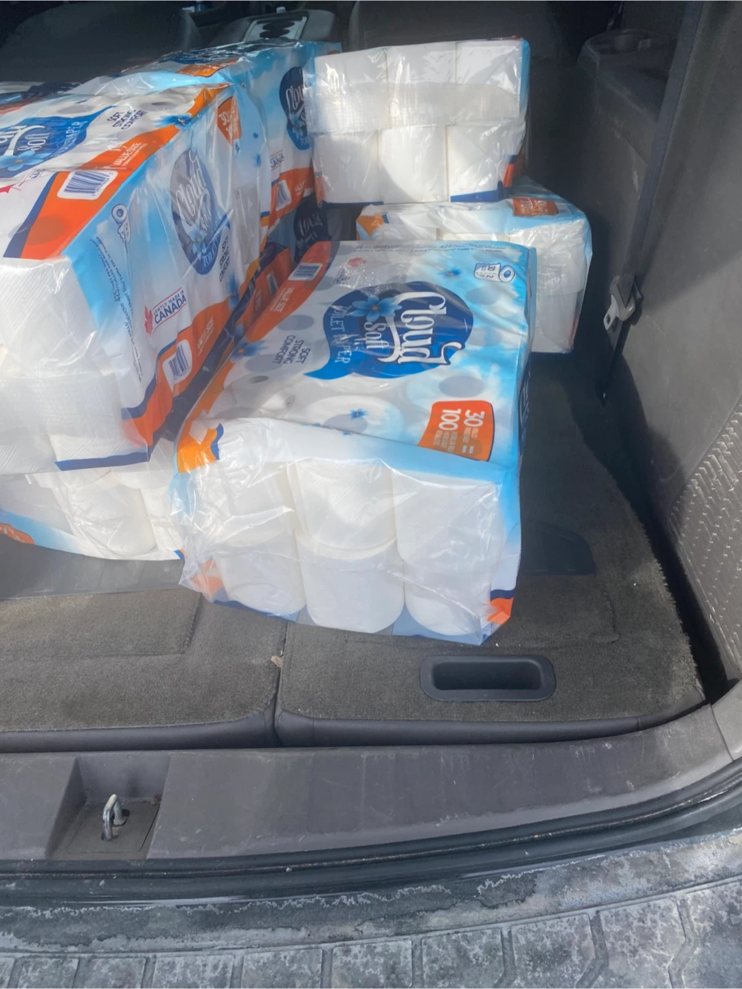 Cloud Soft Toilet Paper - 30 Rolls
