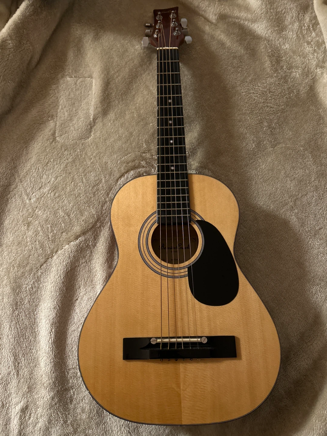 Beaver Creek BCTD401 Acoustic Guitar
