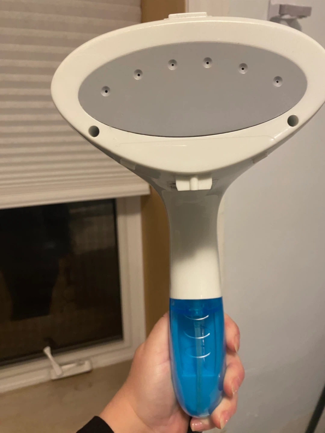 MLMLANT Handheld Steamer