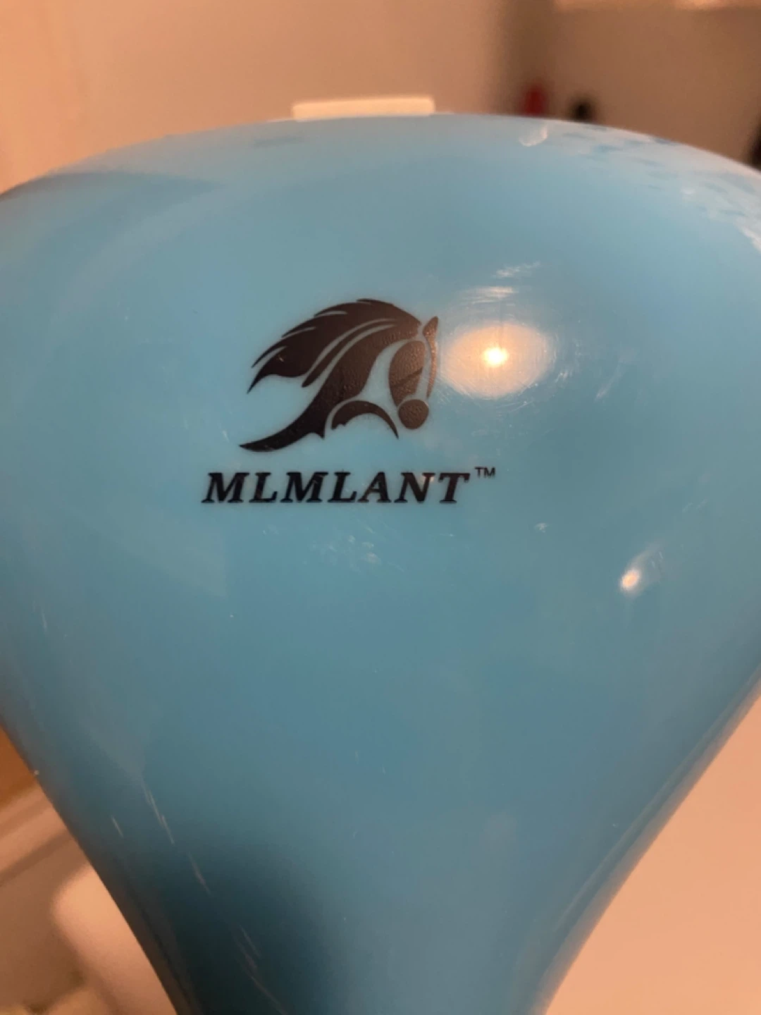MLMLANT Handheld Steamer - photo 3