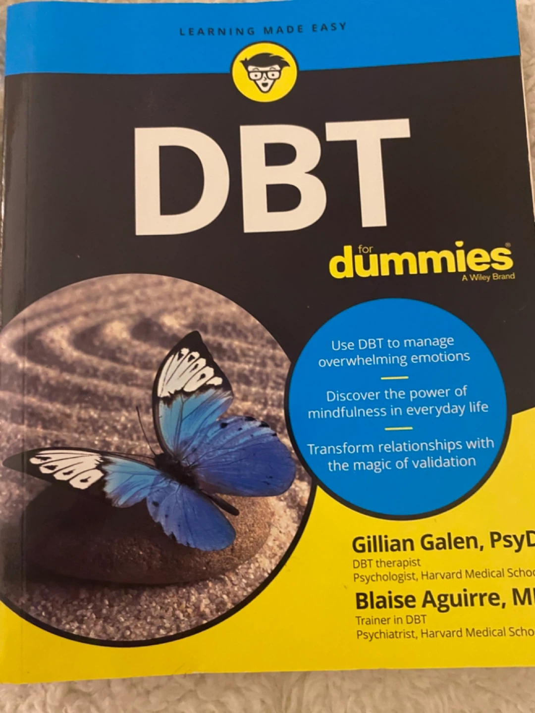 DBT for Dummies Book
