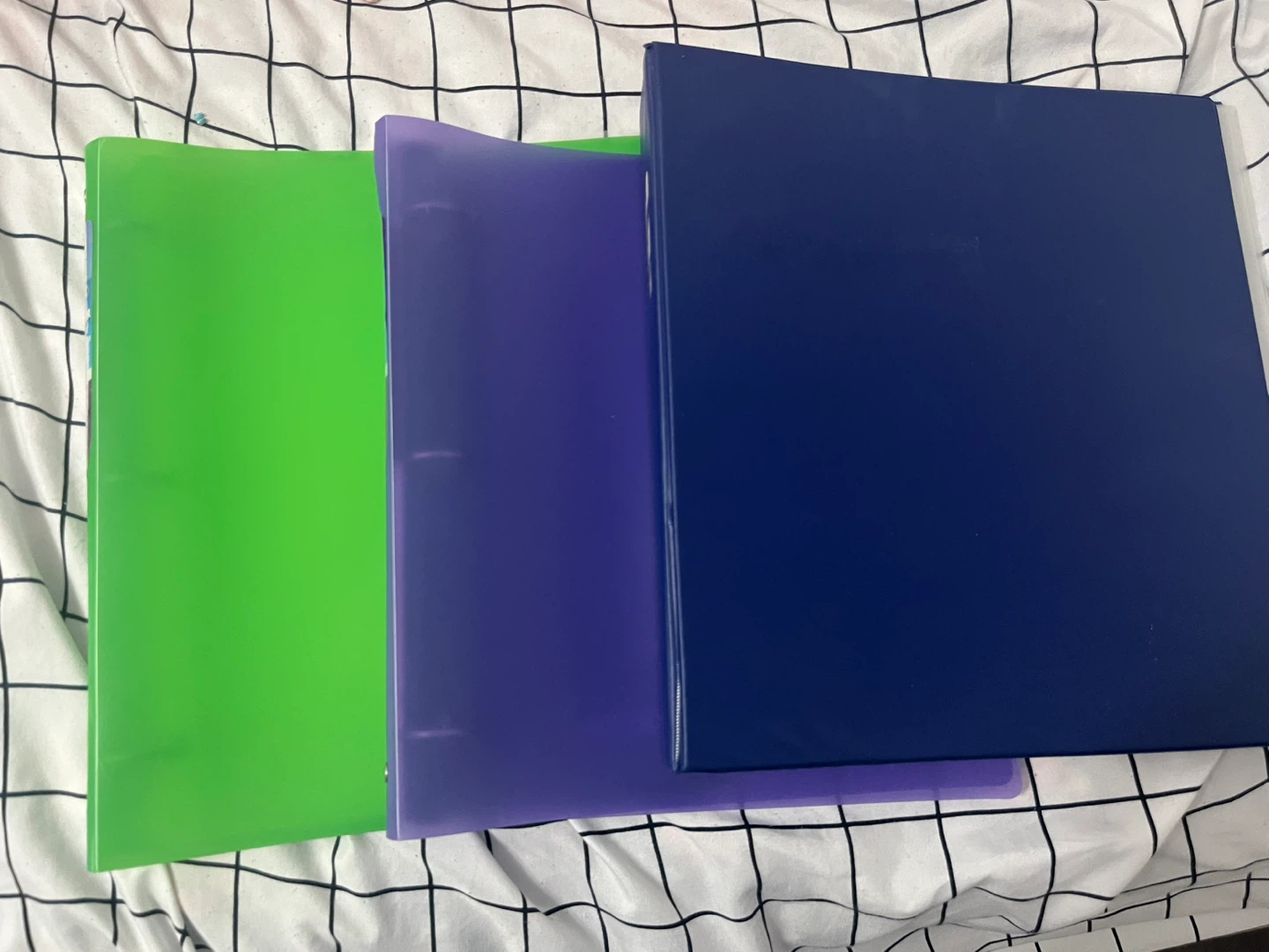 Set of 3-Ring Binders with vinyls